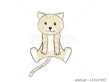 猫 114117247