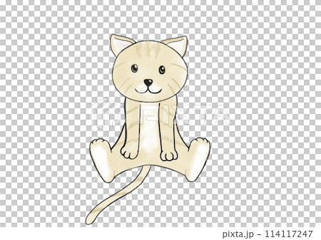 Cat  114117247