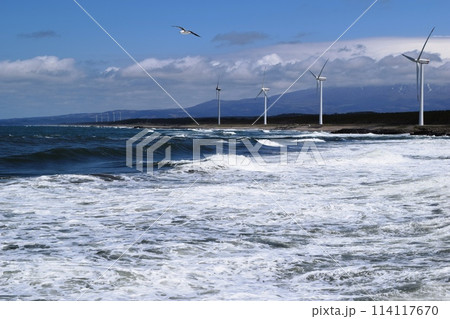 日本海の荒波 庄内海岸 114117670