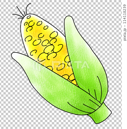 Loose and simple corn analog style 114118239