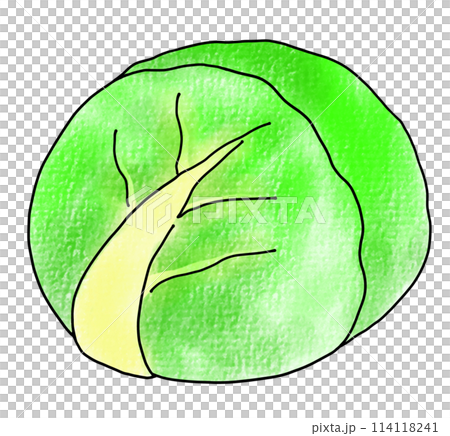 Loose and simple cabbage analog style Loose and simple cabbage analog style 114118241