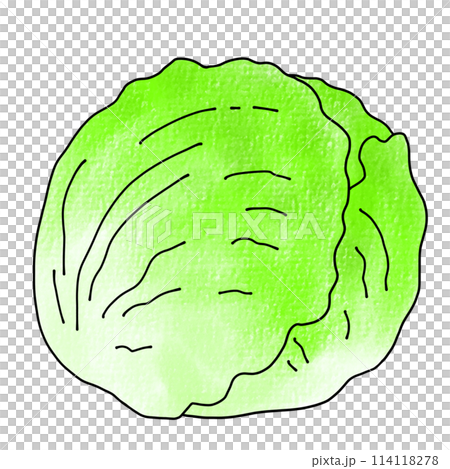 Loose and simple lettuce analog style Loose and simple lettuce analog style 114118278