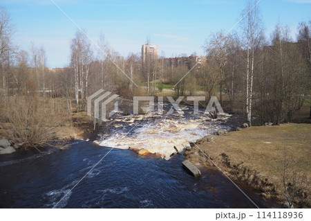 Spring flood. Rushing water in the river, top view. Dark ferrous water rushes in the stream. A yellow-white foam. Karelia, Lososinka River in spring. Flood, tsunami and climate change. Water movement 114118936