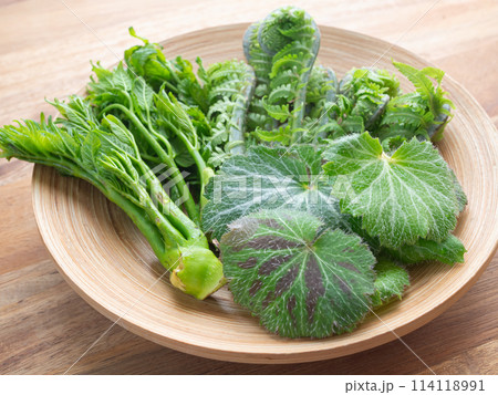 プレートの上の新鮮な山菜 114118991