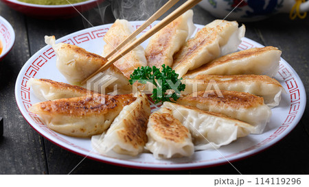 焼き餃子（黒背景） 114119296