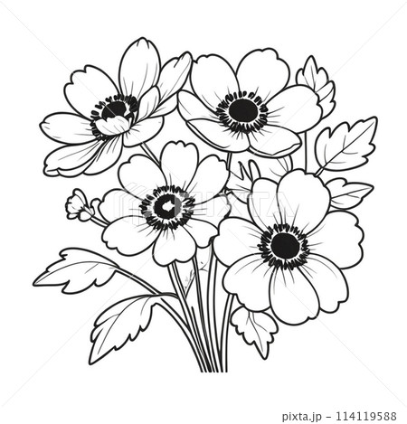 アネモネの花束 アネモネの花束 114119588