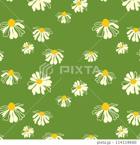 Summer Daisy Background Green Seamless Pattern Spring Blooming Wildflower Lush Foliage Ornament Wrapping Fabric Wallpaper Textile Mosaic Summer Daisy Background Green Seamless Pattern Spring Blooming Wildflower Lush Foliage Ornament Wrapping Fabric Wallpaper Textile Mosaic 114119680