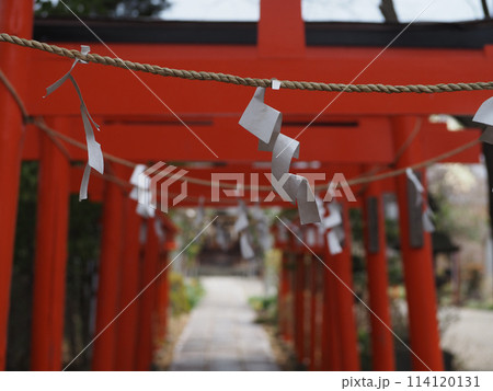 群馬県館林の尾曳稲荷神社 群馬県館林の尾曳稲荷神社 114120131