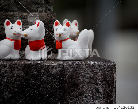 群馬県館林の尾曳稲荷神社の狐 群馬県館林の尾曳稲荷神社の狐 114120132