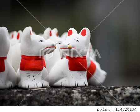群馬県館林の尾曳稲荷神社の狐 群馬県館林の尾曳稲荷神社の狐 114120134