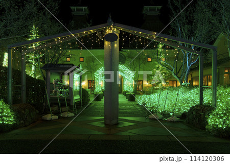 なばなの里イルミネーション 光の森 なばなの里イルミネーション 光の森 114120306