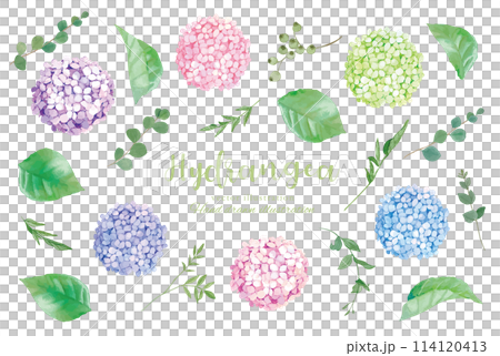 水彩手書きの紫陽花の色々な葉っぱの装飾素材セット 114120413