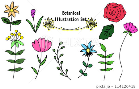 ボタニカルなカラフルイラストセット 114120419