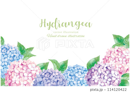 水彩手書きの紫陽花のある水彩風フレームイラスト素材 114120422