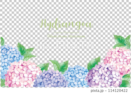 Watercolor-style frame illustration with hand-drawn hydrangea Watercolor-style frame illustration with hand-drawn hydrangea 114120422