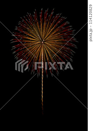 夜空に咲く打ち上げ花火 夜空に咲く打ち上げ花火 114120829