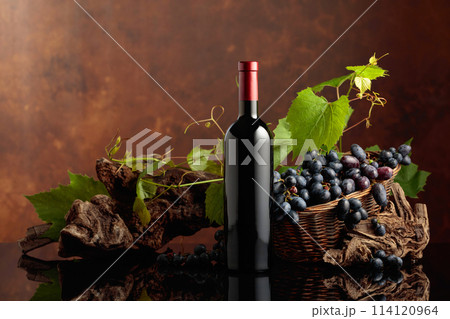 Bottle of red wine with blue grapes and vine branches. 114120964