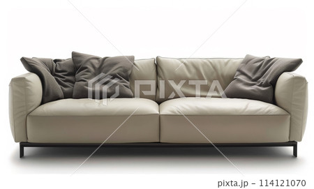 Luxury Elegance: Poliform Sofa Design. Generative AI	 114121070