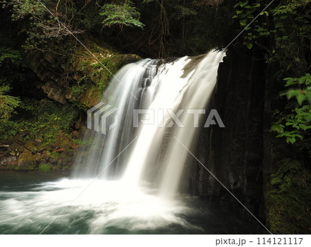 河津七滝の初景滝 114121117