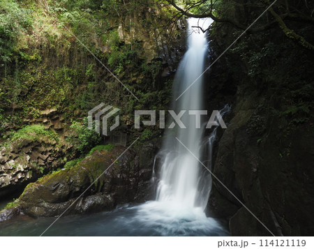 河津七滝の大滝 114121119