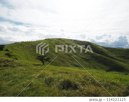 大室山稜線 114121125