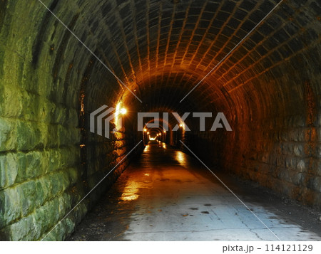 天城山隧道の内部 114121129