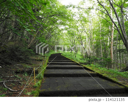 富士山須走ルートの階段 114121135