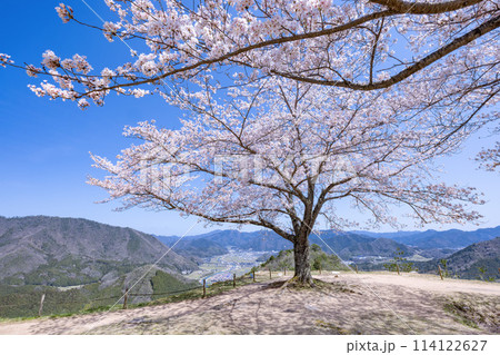 竹田城跡からの眺め 114122627