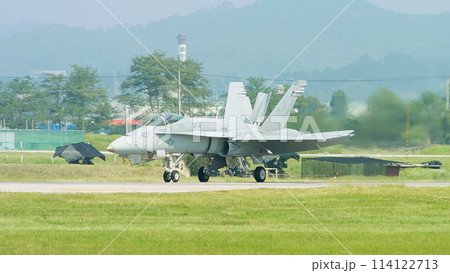 アメリカ海軍F/A-18Cホーネット着陸 114122713