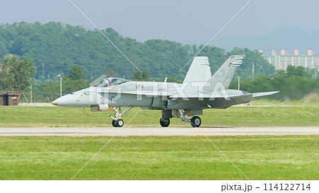 アメリカ海軍F/A-18Cホーネット着陸 114122714