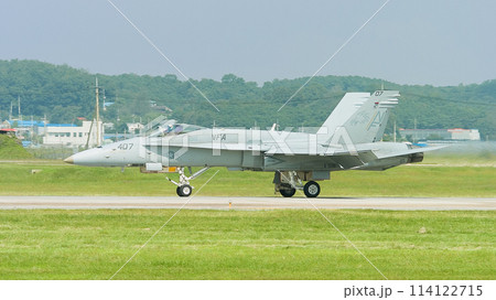アメリカ海軍F/A-18Cホーネット着陸 114122715