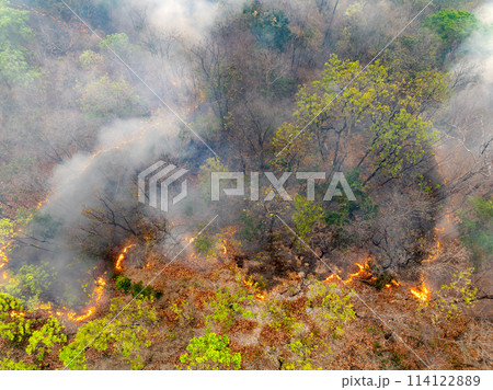 Bushfires in tropical forest release carbon dioxide (CO2) emissions and other greenhouse gases (GHG) that contribute to climate change. 114122889