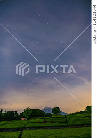 (静岡県)星空の下、大淵笹場の茶畑越しに富士山 (静岡県)星空の下、大淵笹場の茶畑越しに富士山 114123044