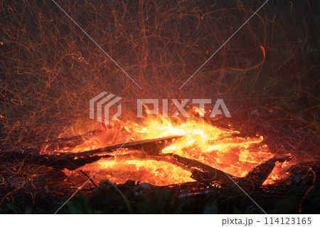Flying sparks from a campfire 114123165