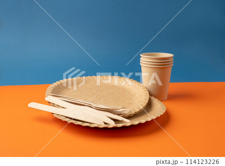 Paper Plate, Fork, Knife, Eco Tableware, Disposable Cutlery, Biodegradable, Eco Bio Table Setting for Picnic Paper Plate, Fork, Knife, Eco Tableware, Disposable Cutlery, Biodegradable, Eco Bio Table Setting for Picnic 114123226