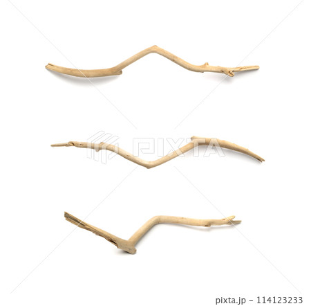 Driftwood Stick Isolated, Sea Wood Branch, Drift Wood 114123233