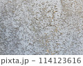 Old Peeling White Chipboard 114123616