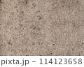 Concrete floor texture 114123658