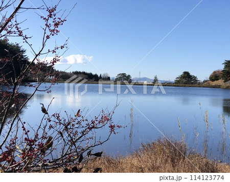秋の晴れた日の湖 114123774