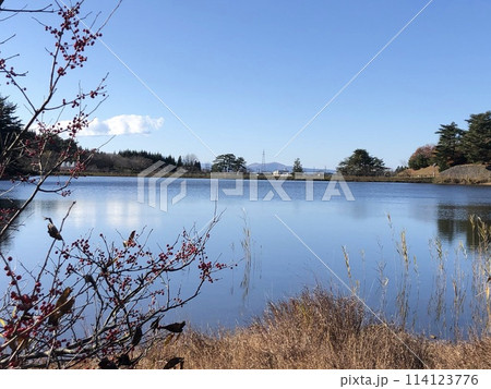 池に写る秋の青空 114123776