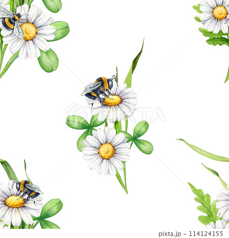 Bee on a daisy flower seamless pattern decor. Watercolor illustration. Meadow summer flowers and bumblebee floral decoration. Bee on a white daisy flower with green leaf seamless pattern Bee on a daisy flower seamless pattern decor. Watercolor illustration. Meadow summer flowers and bumblebee floral decoration. Bee on a white daisy flower with green leaf seamless pattern 114124155