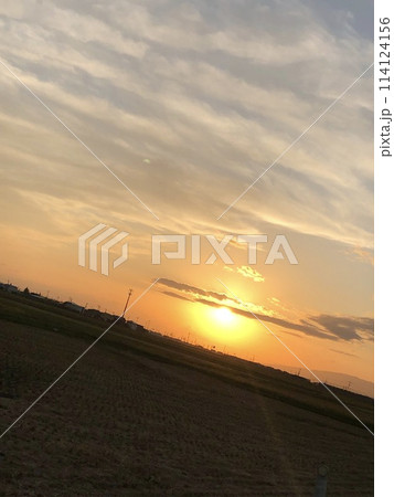 夕日に照らされた田んぼ 夕日に照らされた田んぼ 114124156