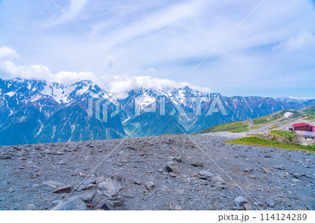 【登山素材】初夏の蝶ヶ岳山頂からの風景【長野県】 114124289