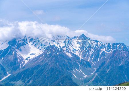 【登山素材】初夏の蝶ヶ岳山頂からの風景【長野県】 114124290