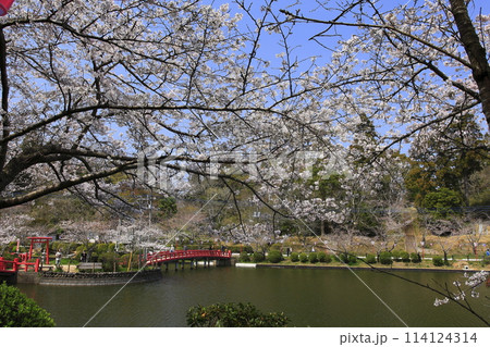 茂原公園 114124314