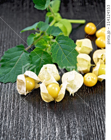 Physalis on dark board 114124553