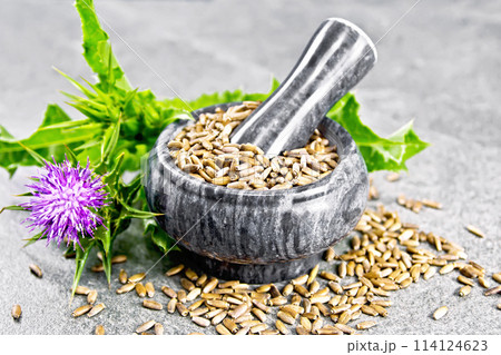 Seeds milk thistle in mortar on stone Seeds milk thistle in mortar on stone 114124623