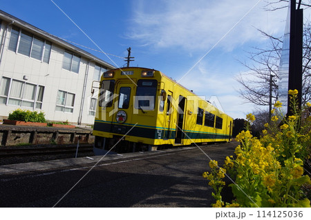 いずみ鉄道 千葉県 鉄印帳の旅6 いずみ鉄道 千葉県 鉄印帳の旅6 114125036