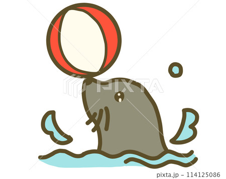 ボールを鼻でキャッチするアシカ ボールを鼻でキャッチするアシカ 114125086