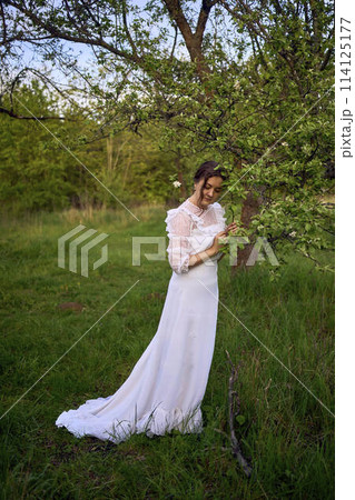 beautiful woman in white vintage dress with train in spring garden at sunset 114125177